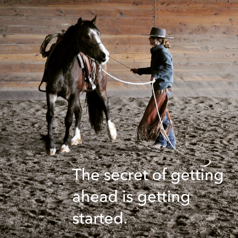 secret of getting ahead is getting started quote