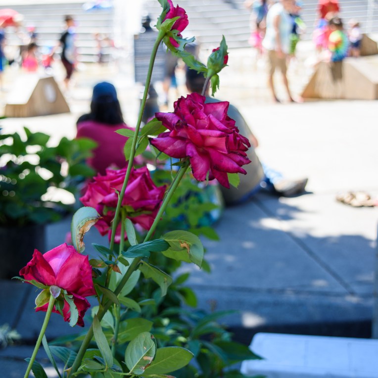 farmers mkt fam-067